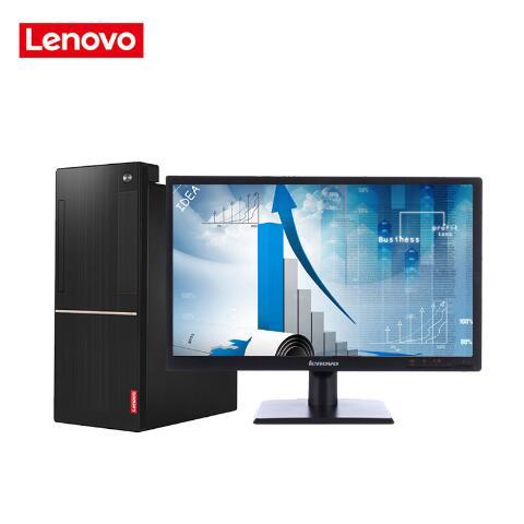 大鸡巴黄网站在线观看联想（Lenovo）扬天M6201C 商用台式机(I3-6100 4G 1T  DVD  2G独显  21寸)